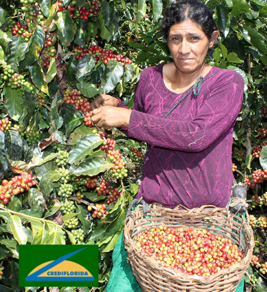 femme ramassant café