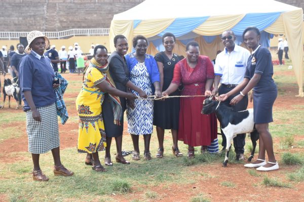 57123453_2395391753854360_8488681536860717056_o